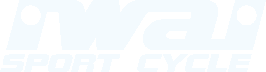 イワイスポーツサイクル