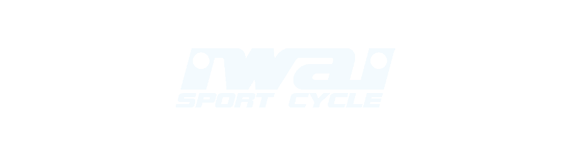 イワイスポーツサイクル